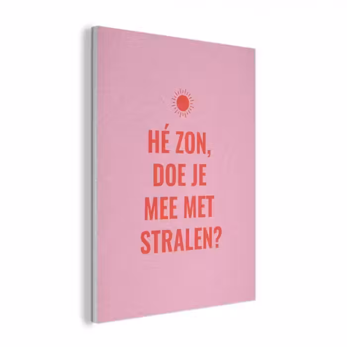 Roze - Zon - Quote PET vilt klein -3d