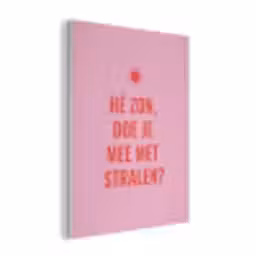 Roze - Zon - Quote PET vilt klein -3d