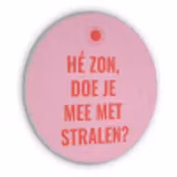 Roze - Zon - Quote Akoestische PET Vilt - Rond klein -3d