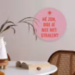 Roze - Zon - Quote Akoestische PET Vilt - Rond klein -sfeer3