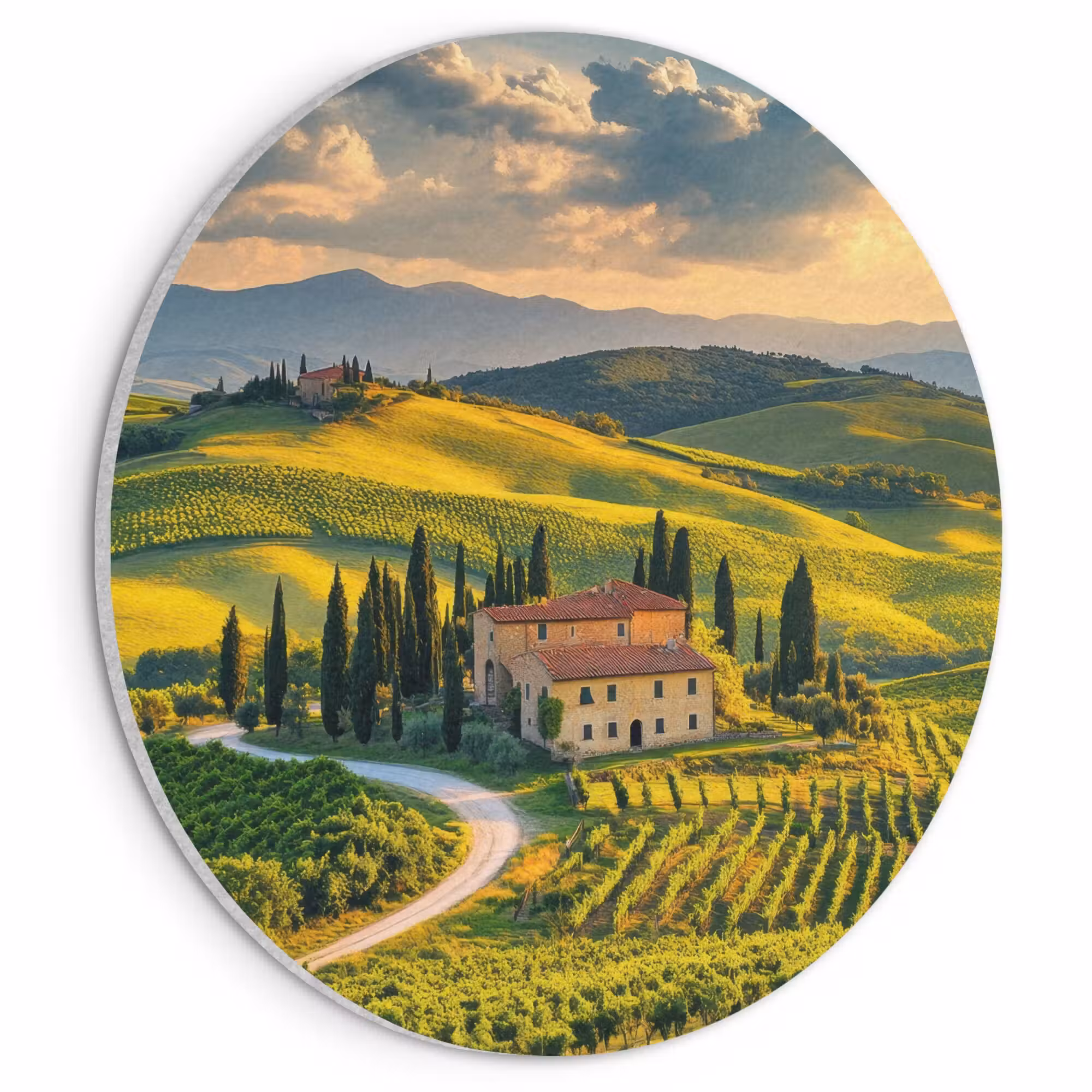 Acoustic painting round - Tuscany - Landscape - Vineyards