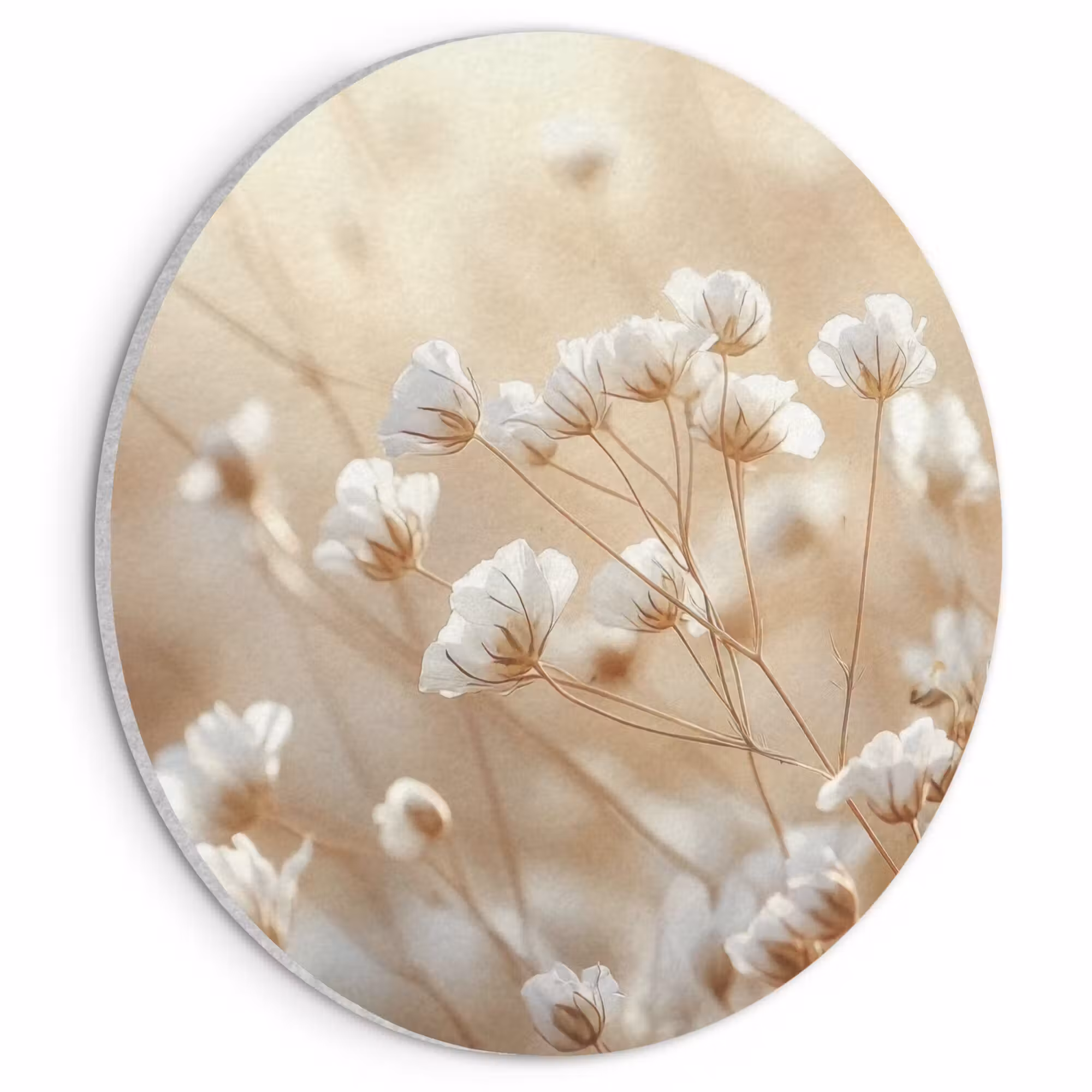Acoustic painting round - Wild - Flowers - White