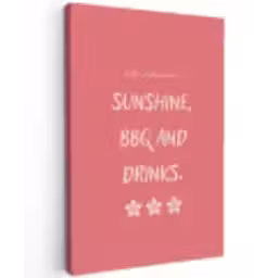 BBQ - Quote - Roze - Zomer canvas 2cm klein -z3d