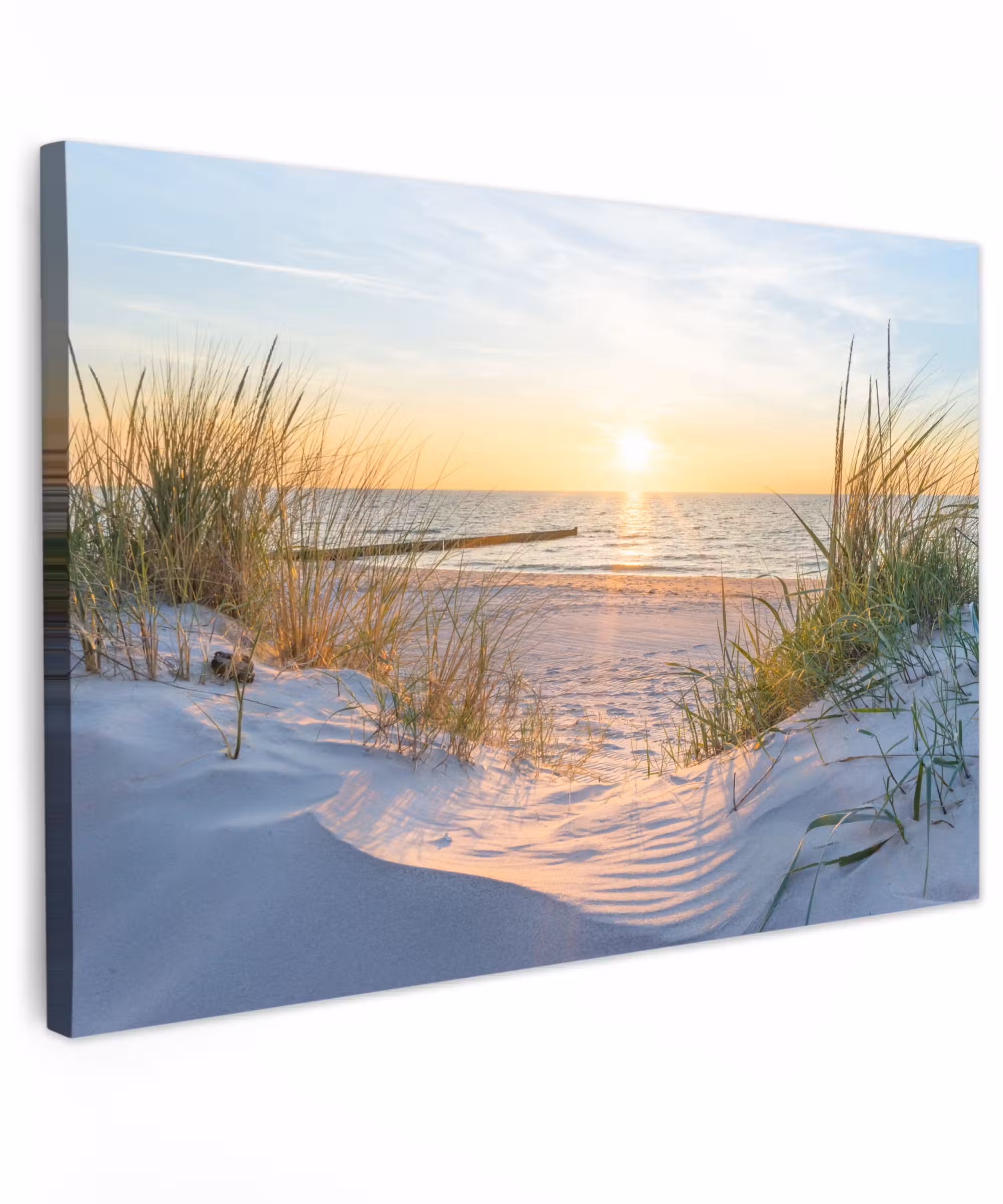 Canvas Print - Beach - Sun - Dune - Grass - Sand - Horizon