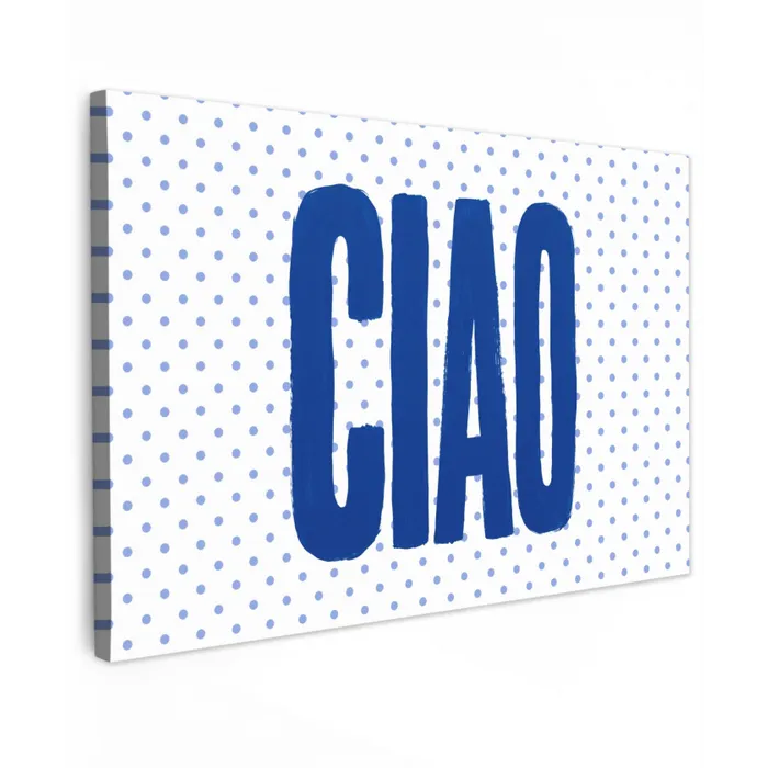 Ciao - Stippen - Roze - Wit canvas 2cm klein -z3d