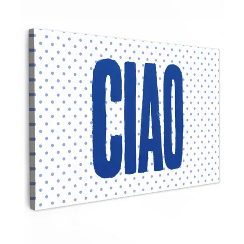 Ciao - Stippen - Roze - Wit canvas 2cm klein -z3d