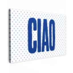 Ciao - Stippen - Roze - Wit canvas 2cm klein -z3d