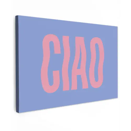Ciao - Roze - Blauw - Golvend canvas 2cm klein -z3d