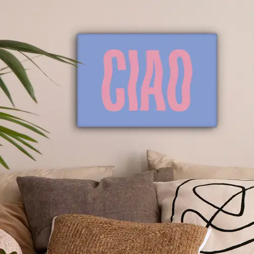 Ciao - Roze - Blauw - Golvend canvas 2cm klein -sfeer1