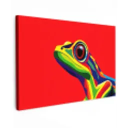 Kikker - Kleurrijk - Strepen - Ogen canvas 2cm klein -z3d