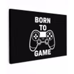 Gamen - Quotes - Controller - Born to game - Zwart - Wit canvas 2cm klein -z3d