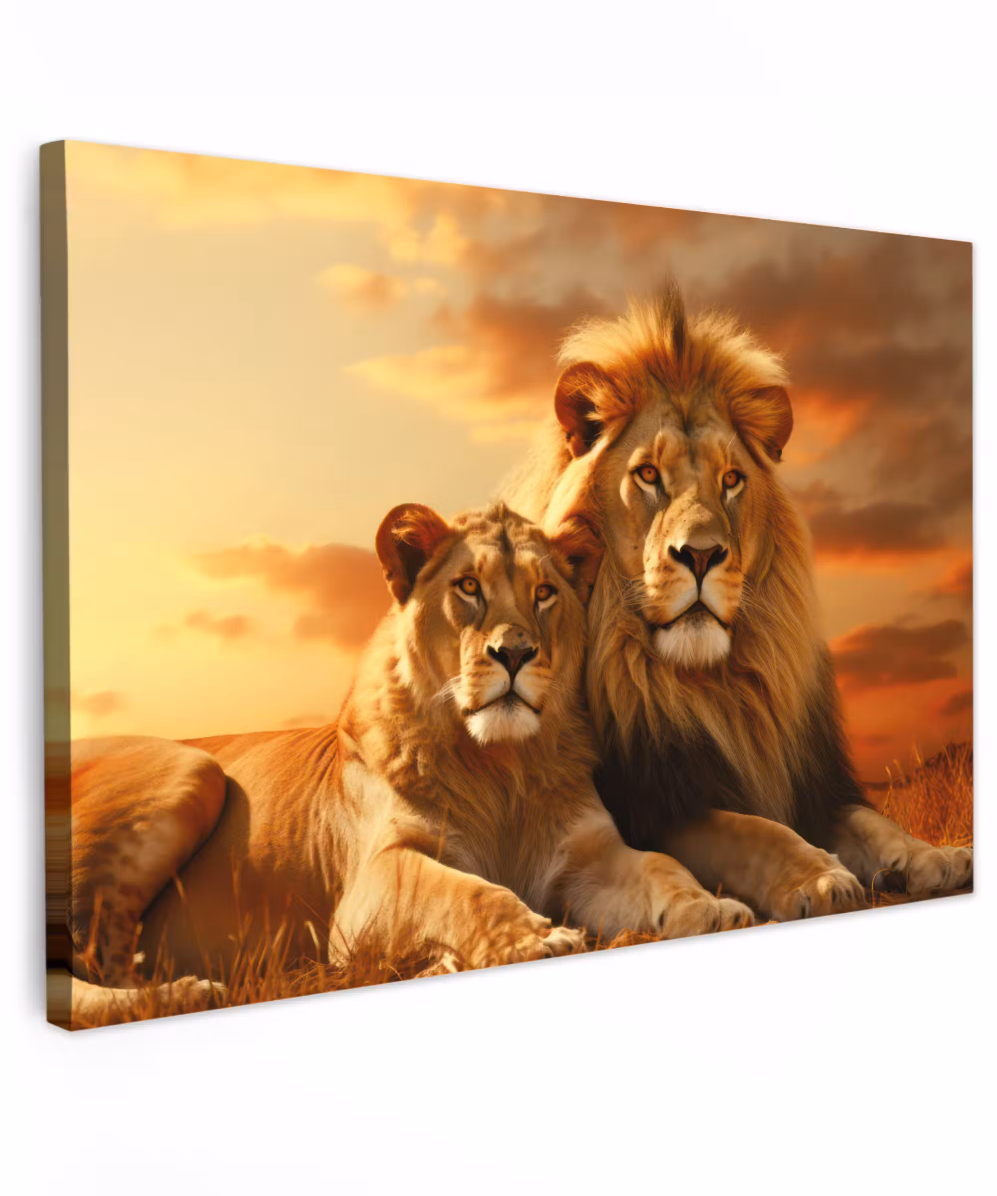 Canvas Print - Lions - Sunset - Africa - Savannah - Animals