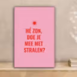 Roze - Zon - Quote canvas 2cm klein -sfeer1