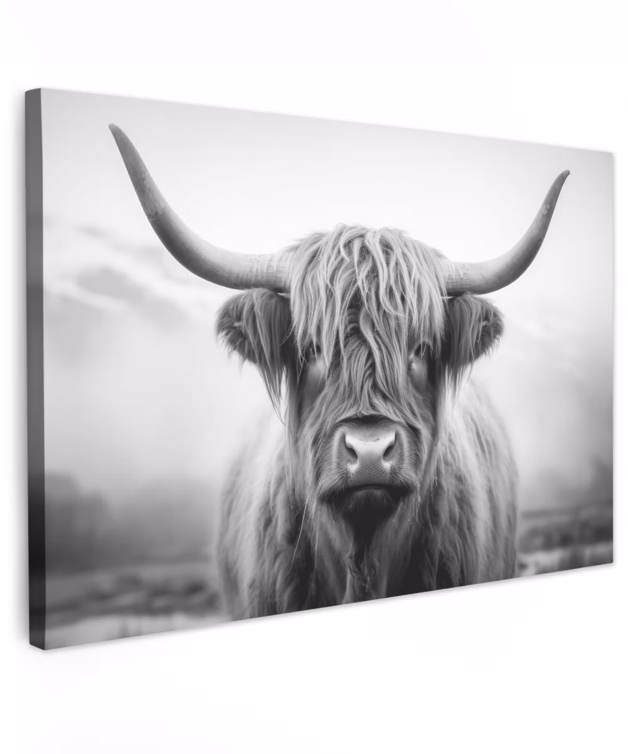 Canvas Print - Scottish highlander - Fog - Black - White