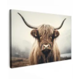 Schotse hooglander - Hoorns - Landschap canvas 2cm klein -z3d