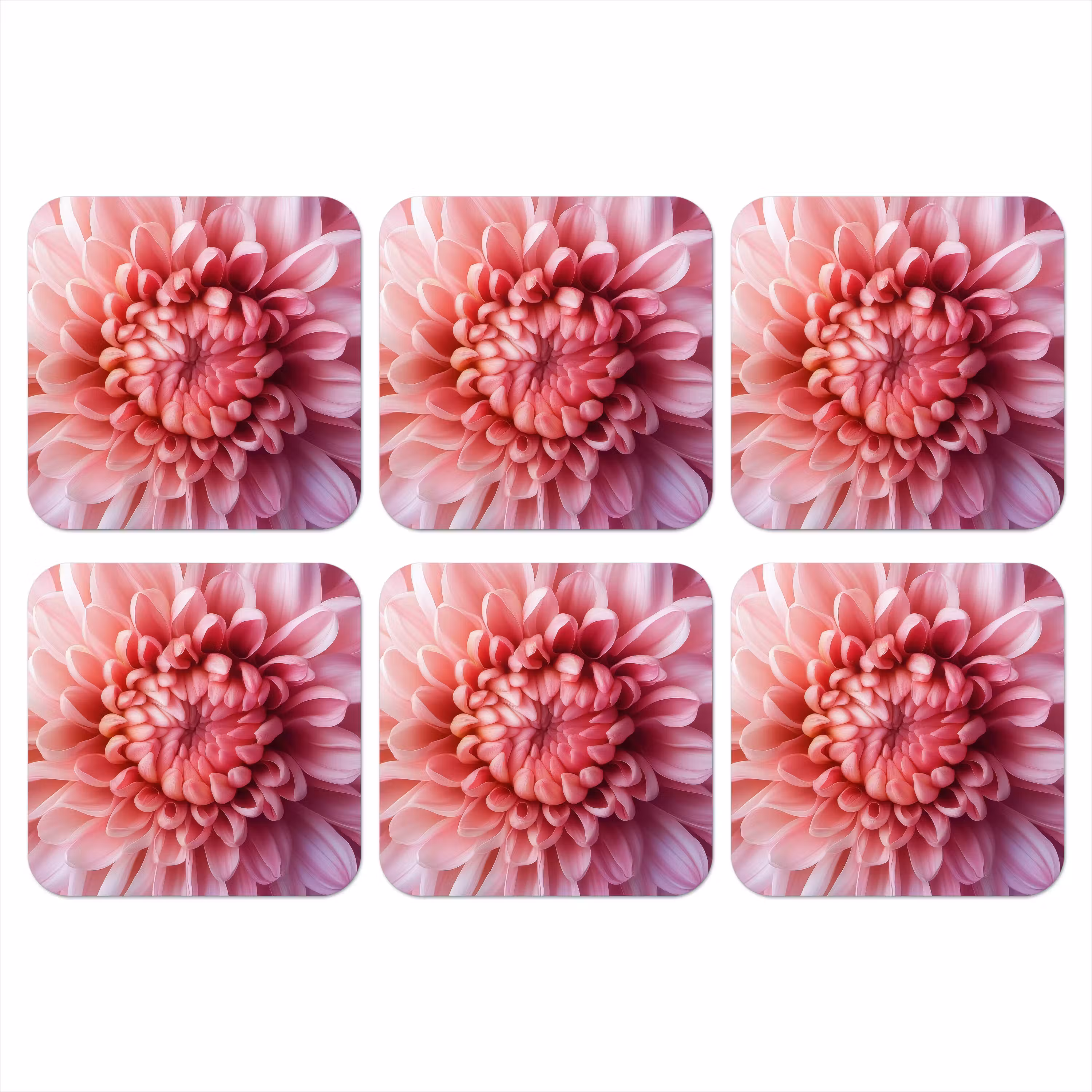 Coaster - Dahlia - Flower - Close up - Pink