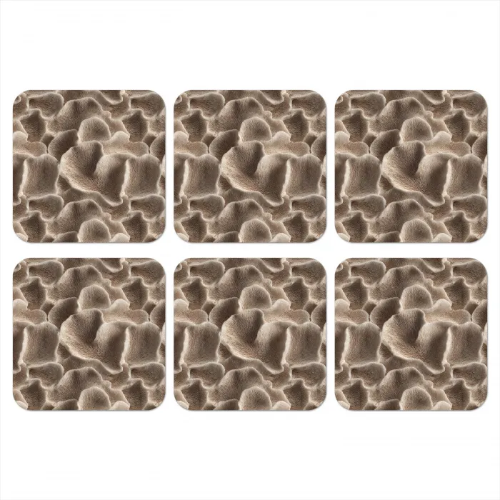 Waaiervorm - Beige - Vezel textuur onderzetter kurk middel 366 -3d