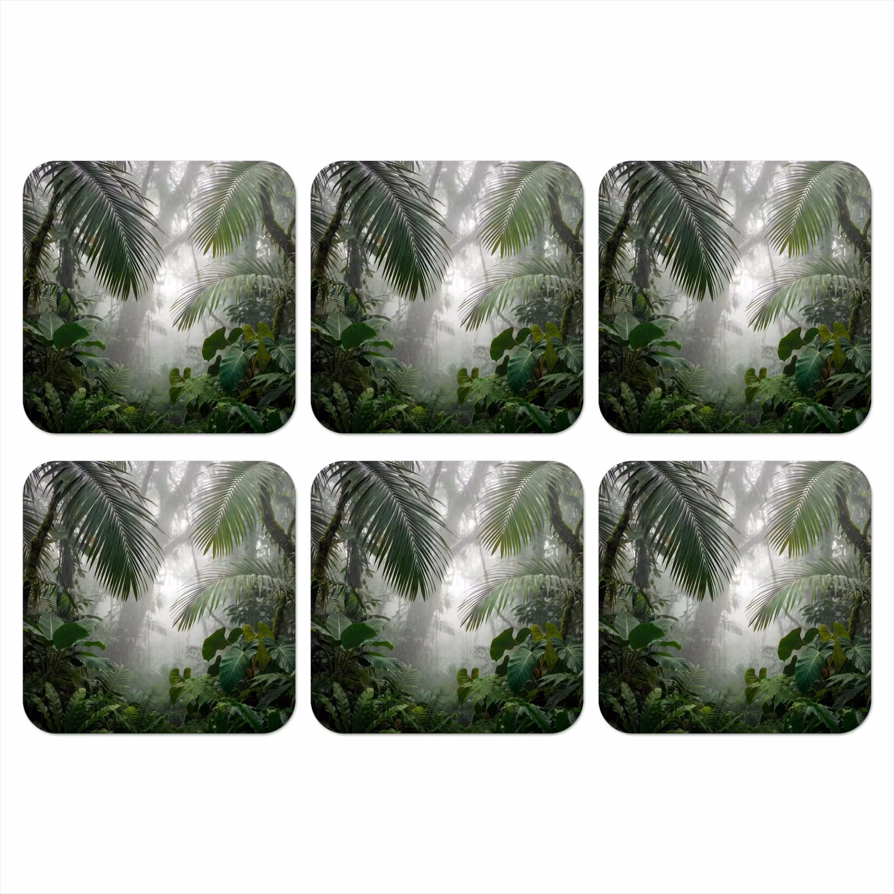 Coaster - Nature - Jungle - Fog - Tropical - Green