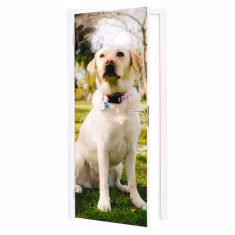 Photo on door sticker