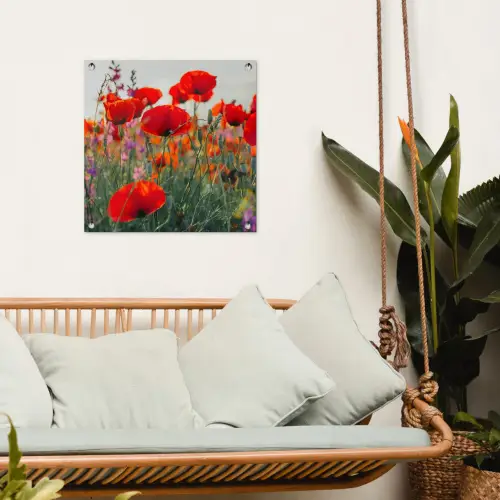 Bloeipracht van Klaprozen tuinposter los doek klein -sfeer7