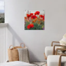 Bloeipracht van Klaprozen tuinposter los doek klein -sfeer8