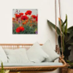 Bloeipracht van Klaprozen tuinposter los doek klein -sfeer7