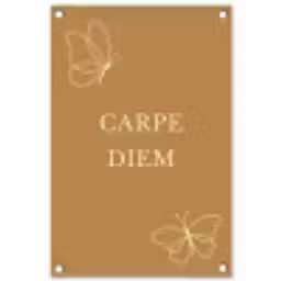 Carpe Diem met Vlinder tuinposter los doek klein -3d