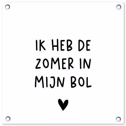 Ik heb de zomer in mijn bol - André Hazes - Spreuken - Quotes tuinposter los doek klein -3d