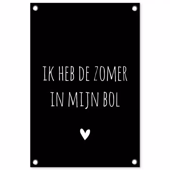 Ik heb de zomer in mijn bol - Quotes - Spreuken - André Hazes tuinposter los doek klein -3d