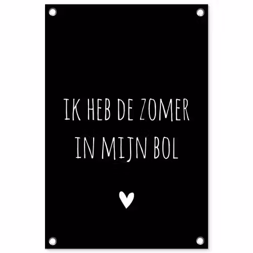 Ik heb de zomer in mijn bol - Quotes - Spreuken - André Hazes tuinposter los doek klein -3d