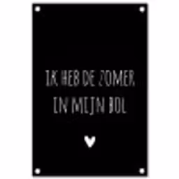 Ik heb de zomer in mijn bol - Quotes - Spreuken - André Hazes tuinposter los doek klein -3d