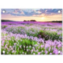 Lavendel - Bloemen - Zonsondergang - Paars - Weide tuinposter los doek klein -3d