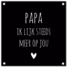 Quotes - Papa ik lijk steeds meer op jou - Stef Bos - Papa - Spreuken tuinposter los doek klein -3d