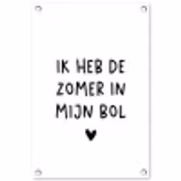 Quotes - Spreuken - André Hazes - Ik heb de zomer in mijn bol tuinposter los doek klein -3d
