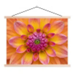 Dahlia - Bloem - Oranje textielposter latten blank klein -3d