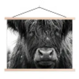 Schotse hooglander - Zwart - Wit - Sneeuwvlokken textielposter latten blank klein -3d