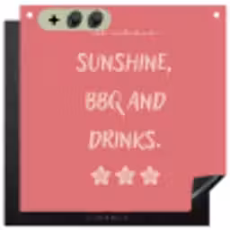 BBQ - Quote - Roze - Zomer Inductie beschemer met haakjes middel -3d