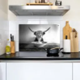Schotse Hooglander - Spaghetti - Dieren - Zwart wit Inductie beschemer met haakjes klein -sfeer2