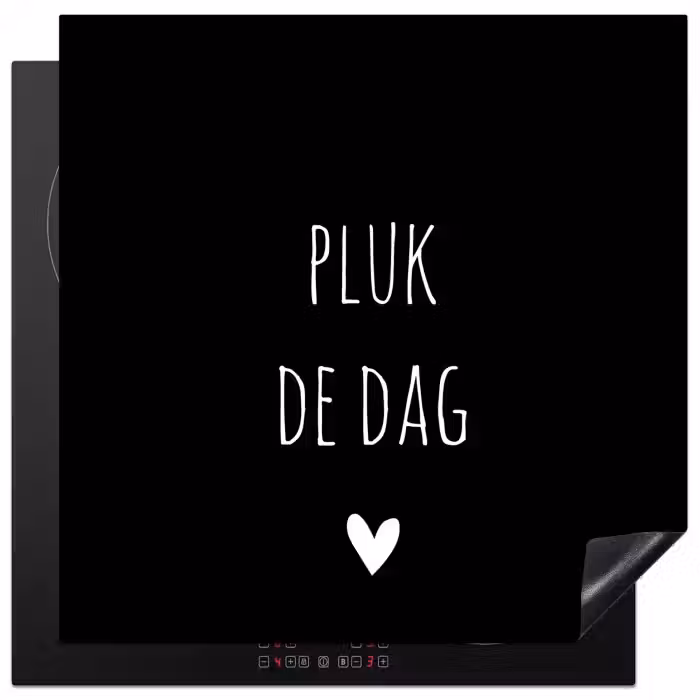 Carpe diem - Spreuken - Pluk de dag - Quotes Inductie beschermer vinyl 3mm middel -3d