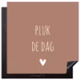 Quotes - Carpe diem - Pluk de dag - Spreuken Inductie beschermer vinyl 3mm middel -3d