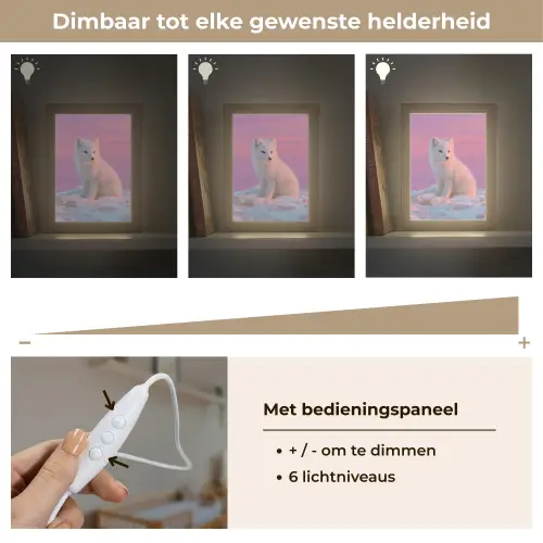 Poolvos - Sneeuw - Roze Light Box met kabel klein -USP_dimbaarNL