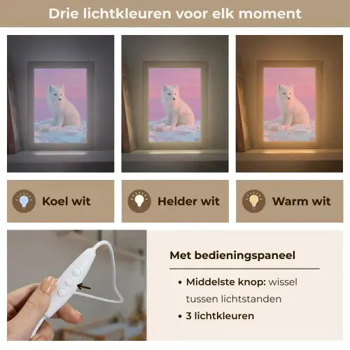 Poolvos - Sneeuw - Roze Light Box met kabel klein -USP_lichtkleurNL