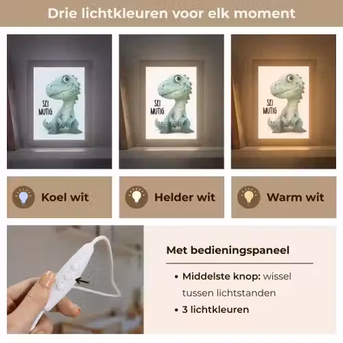 Draak - Wees moedig - Quote Light Box met kabel klein -USP_lichtkleurNL