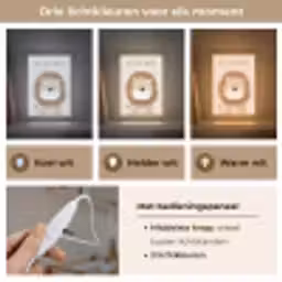 Leeuw - Beige - Dier - Moedig - Quote Light Box met kabel klein -USP_lichtkleurNL