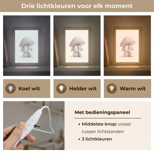 Paddenstoel - Konijn - Roze Light Box met kabel klein -USP_lichtkleurNL
