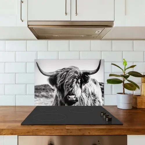 Koe - Schotse hooglander - Zwart - Wit - Dier - Natuur - Wild keuken achterwand spatscherm klein -sfeer2