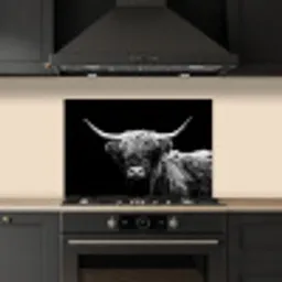 Schotse Hooglander - Koe - Zwart - Wit - Dieren keuken achterwand spatscherm klein -sfeer1