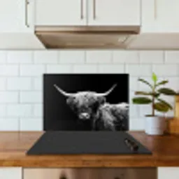 Schotse Hooglander - Koe - Zwart - Wit - Dieren keuken achterwand spatscherm klein -sfeer2