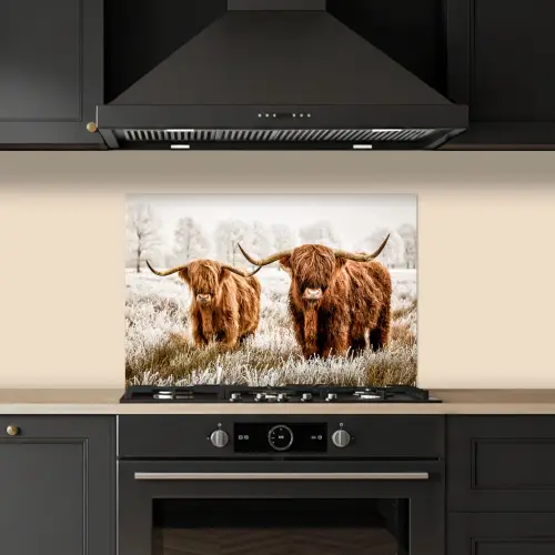 Schotse hooglander - Koe - Natuur - Winter keuken achterwand spatscherm klein -sfeer1