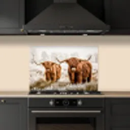 Schotse hooglander - Koe - Natuur - Winter keuken achterwand spatscherm klein -sfeer1